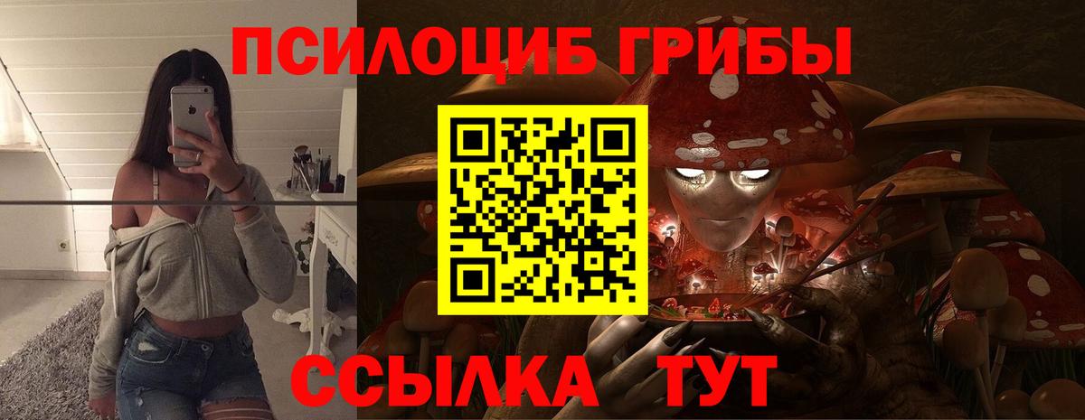 Псилоцибиновые грибы мицелий Отрадный